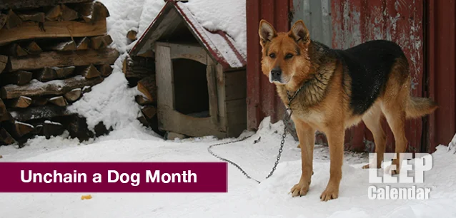 No image found UnChain a Dog MonthE.webp